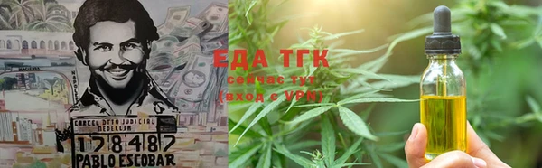 прущие грибы Ростов