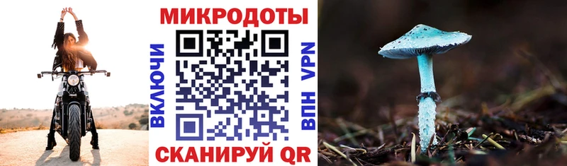 Купить где  Горняк  Псилоцибиновые грибы Psilocybe 